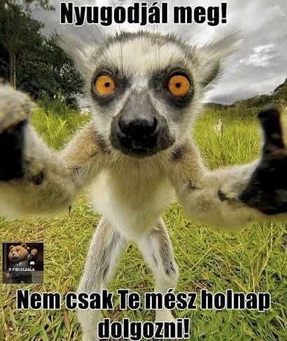 Az Igazi Tibi Oldala