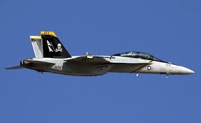 vfa 103 ジョリーロジャース 第103戦闘攻撃飛行隊 の画像 f14 トム キャット ジェット戦闘機 戦闘
