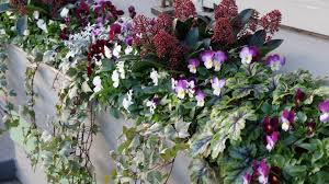 In your order summary, click 'enter promotional code'. Bright Berries And Winter Window Boxes Bring Joy To Your World