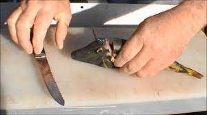 How To Clean Leatherjackets The Hook And The Cook Youtube