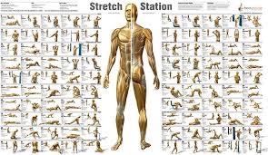 Stretch Flexibility Workout Fitness Design Fun Workouts