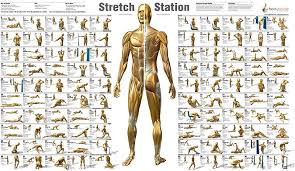 stretch flexibility workout fitness design fun workouts