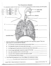 The set includes facts about parachutes, the statue of liberty, and more. Respiratory System Coloring Page Coloring Home