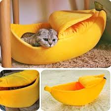 Get Now Your Banana Bed For Your Cat Or Small Dog Find It And Much More On Link In Profile Evcil Hayvan Yataklari Muzlar Evcil Hayvan Urunleri