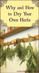 Landscapedesignpage Com Planting Herbs Herbs Drying Herbs