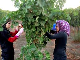 Spielt jetzt 60 minuten games von bigfish unbegrenzt mit dem bigfish starter! Eu To Crack Down On Products From Israeli Settlements Der Spiegel