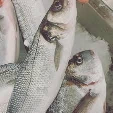 restaurant haus wilmes home facebook