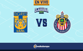 Mira el minuto a minuto este 10 de febrero a las 4:30 pm a través del sitio oficial liga mx femenil dando clic aquí. B1zrdxx7pvanrm