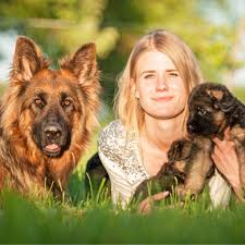 Rolling hills pet hospital address, phone and customer reviews. Rolling Hills Animal Hospital Finksburg Md Veterinary Clinic Animal Hospital