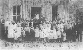 Mount Vernon gets trained bloodhound