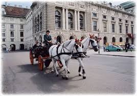 Your fiaker vienna stock images are ready. Rundfahrten Mit Dem Fiaker Durch Wien Kutschfahrten