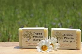 Shampoo Bar Soap Recipe Is A Lye Soap Made With Cocoa And Shea Butters Beeswax Castor Oil Jojoba Oil Coconu Shampoo Bar Soap Shampoo Bar Shampoo Bar Recipe