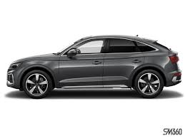 Image result for Daytona Gray 2024 Q5