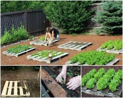 Over the past year, i've come across scores of diy pallet projects, some of them intriguing and others not quite there. Wonderful Diy Pallet Garden Planter