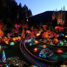 Black Ball Ferry Line Port Angeles Find Christmas In Victoria Black Ball Ferry Line Daily Departures To Victoria And Port Angeles Butchart Gardens Winter Garden Sunken Garden