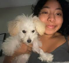 Anisa Shafiq's Instagram, Twitter & Facebook