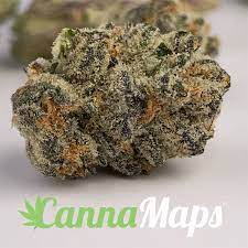 Beach Wedding Cannamaps