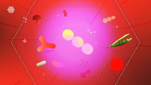 Probiotics, Prebiotics & Postbiotics: What are the Differences? - TurtleTree
