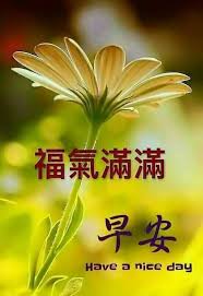 pin by shu wan on 早安花 good morning greetings good morning images morning images