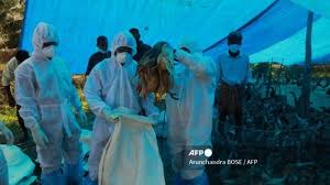 H5n8 is a subtype of the influenza a virus (sometimes called bird flu) and is highly lethal to wild birds and poultry. Gj 7mjhzmb8zsm