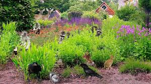 Check spelling or type a new query. Good Riddance Eco Friendly Pest Control The Martha S Vineyard Times