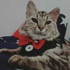 Isi ulang pulsa online, termurah, termudah dan terpercaya 085267836273. Gara Gara Chip Higgs Domino Adp Channel Wav By Adp Channel