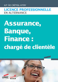 Jeu banque et clientèle professionnelle. Assurance Banque Finance Charge De Clientele Iut De Creteil Vitry