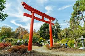 Top free images & vectors for bonsai garden oakland in png, vector, file, black and white, logo, clipart, cartoon and transparent. On The Grid Bonsai Garden