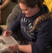 Usually found in dry or semi humid places, bts can become a very good pet for people who like to keep animals that require slight attention. Pic I See We Re Posting Unusual Helpers Today This Is Fafnir The Northern Blue Tongued Skink Being A Good Potato And Keeping His Sharp Little Toenails Away From My Project Crossstitch