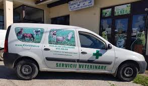 Mersi mult ptr un raspuns bun funda! Ambulanta