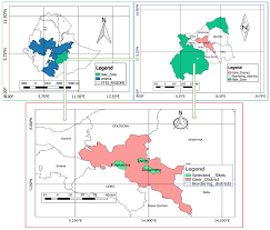 Image result for Secamone parvifolia