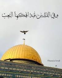 image discovered by adan find images and videos about ح ب اسﻻم and فلسطين on we heart it the app to get lost in palestine art palestine palestine quotes