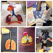 Mrs Dabass 5a On Twitter Hands On Project Respiratory System Creative Ideas Awesome Work Http T Co 5ouktsc9pi Twitter