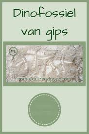 Dinofossiel Van Gips In 2020 Gips Zandbak