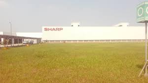 Kue cake pisang kukus mawar / kue cake pisang kuku. Kisi2 Pt Sharp Gathering Pt Sharp In Sandalwood Offroad Youtube O Smartphone Sharp Aquos L2 Lancado Em 2017 Alberto Payeur