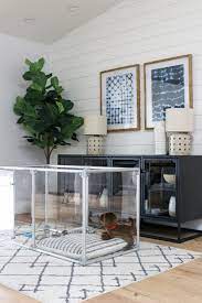 Love Your Furry Friend With Clearly Loved Pets - Little Bit City