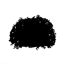 Bush Silhouette On White Background Free Image By Rawpixel Com Sasi White Background Vector Trees Grass Silhouette