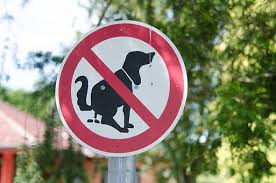 Dabei zeigen die hinweisschilder verschiedene motive an. 40 Kostenlose Hunde Verboten Und Verboten Bilder Pixabay
