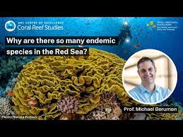 Why are there so many endemic species in the Red Sea? A seminar by  Professor Michael Berumen