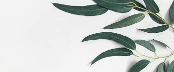 Sioux falls employers, we're here to help. Microblading Service Sioux Falls Sd Bryant Salon And Spa