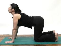 Pin On Yoga For Beginners