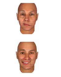 A Contemporary Approach to Facial Reanimation