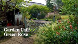 saitama private residence garden cafe green rose ms yoshie saito s residence in autumn 宿根草 4k youtube garden cafe green rose garden