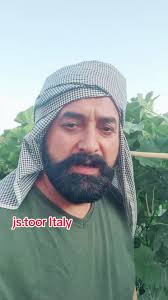 3G Cutting Techniques for Organic Vegetables