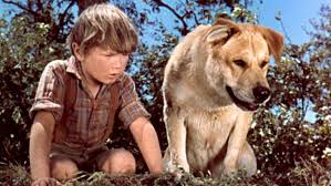 Survivors in a world gone hideously wrong. The Difference Between Dead Cats And Dogs In Film