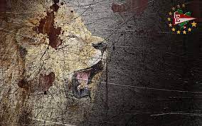 Juan sebastián verón, jugador de estudiantes, dando una de las claves de las crisis de semilleros en argentina. Hd Wallpaper Estudiantes De La Plata Leon Pincha Veron Hd Male Lion Poster Wallpaper Flare