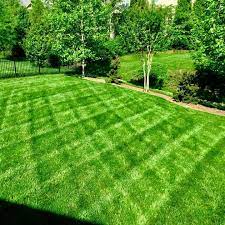 First time for on going maintenance of our yard, including mowing and trimming the yard. Wake Pro Lawn Care Home Facebook