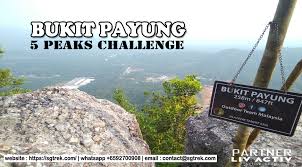 Bukit kokol is located in menggatal town roughly about 40 minutes (taking into account the traffic condition) from kota kinabalu, sabah. My20190512 Bukit Payung Jungle Trek Sgtrek