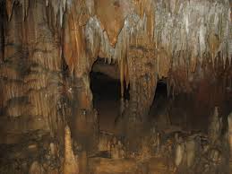 Gear up and get ready for campfires, changing leaves and cool breezes! Florida Caverns State Park Wikipedia