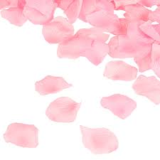 Whether it is a get well flower gift basket, mother's day flowers, seasonal centerpiece for the holidays or something that says i love you petals & silks is the leading florist in scott depot, wv and will make sure to send quality flowers in a stunning arrangement. Silk Flower Rose Petals 500 Pcs Pink For Wedding Cv Linens